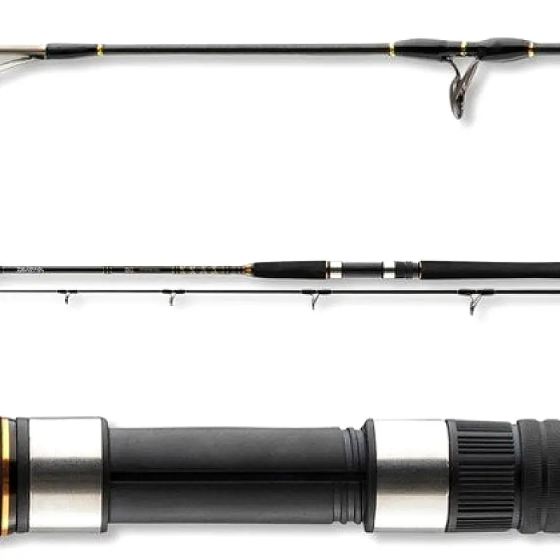 Canne à Pêche Daiwa BG Offshore Pilk 2,40 M 50-165 G – Pour Pêche En Mer, Bateau Ou Bord